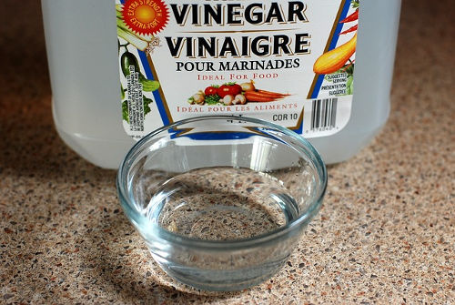Vinegar in bowl in front of vinegar bottle